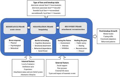 Breaking up with my idol: A qualitative study of the psychological adaptation process of renouncing fanship